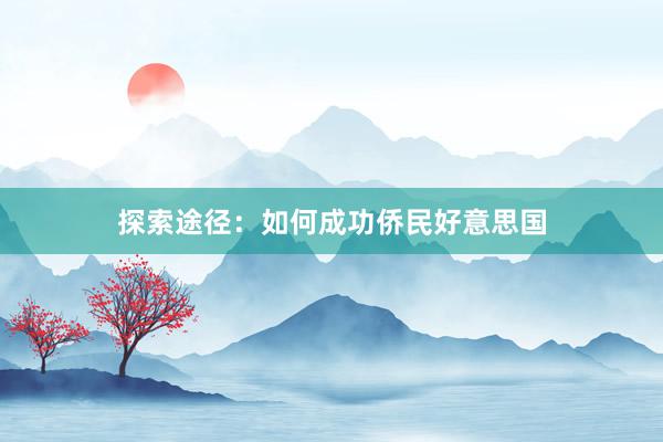 探索途径：如何成功侨民好意思国
